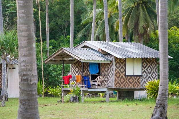 Bangalô Resort em uma floresta tropical