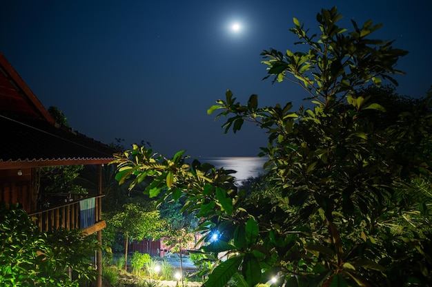 Bangalôs à beira-mar na ilha tropical à noite