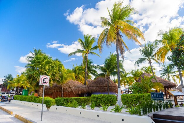 Bangalôs à sombra de palmeiras de coco na praia Isla Mujeres ilha Mar do Caribe Cancun Yucatan México