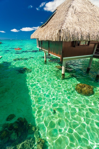 Bangalôs sobre a água e lagoa verde Moorea Polinésia Francesa