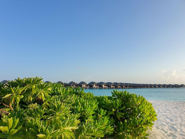 Bangalôs sobre a água e moradias de luxo na lagoa azul na praia de areia branca maldivas tahiti