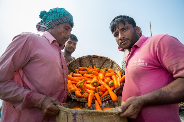 Bangladesch, 24. Januar 2020 Nach der Ernte legen die Bauern frische Karotten in Jutesäcke und bereiten sich auf den Export in Savar Dhaka Bangladesch vor