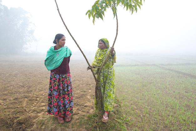 Bangladesch, 6. Januar 2014 An einem nebligen Wintermorgen klatschen zwei Frauen in Ranisankail Thakurgaon