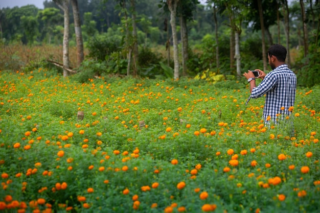 Bangladesh 05 de octubre de 2020 un hombre está fotografiando hermosas flores de caléndula naranja en el jardín del distrito de Godkhali Jessore