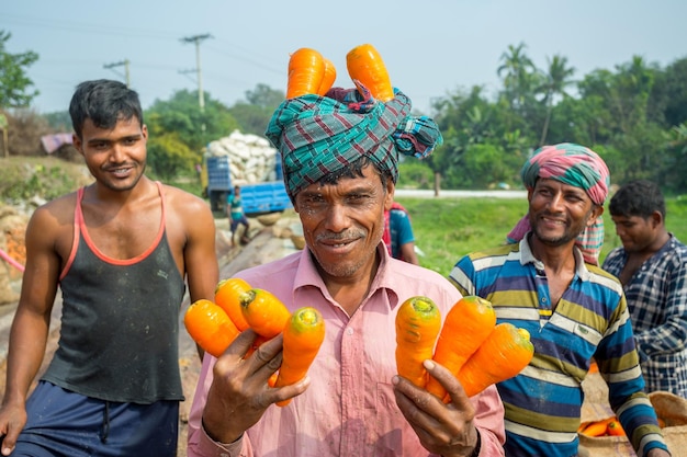 Bangladesh 24 de enero de 2020 Los agricultores y trabajadores se divierten en el tiempo de trabajo después de cortar zanahorias frescas en Savar Dhaka Bangladesh