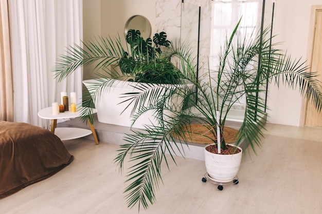 Banheiro moderno Banho branco com ramos de palmeiras verdes Sala brilhante com luz solar de uma grande janela