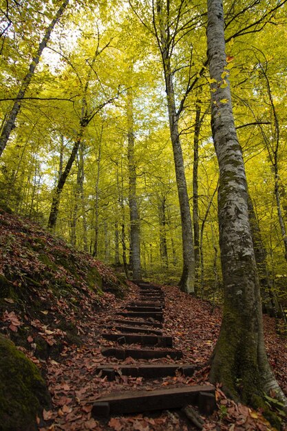 Foto banhos de água de enxofre na cidade turca de yalova remontam à era bizantina água de enxafre