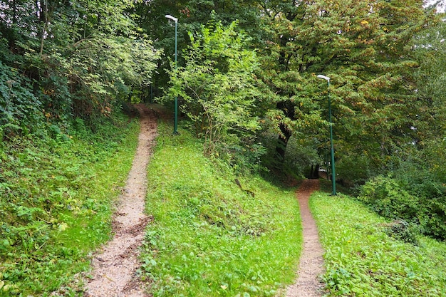 Banja Koviljaca Loznica Serbien Mount Guchevo Park und Wald Waldterrassen Verwelkte Blätter im September Pfade und Pfade zum Wandern Ruhige ökologische Ruhe zur Erholung Europäischer Mischwald