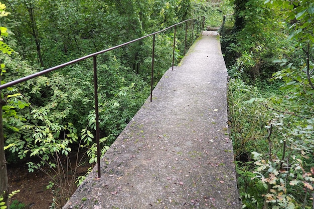 Banja Koviljacha Serbia Loznica Monte Guchevo Un viejo y estrecho puente de hormigón que cruza un río de montaña con una cerca de metal Matorrales de arbustos hiedra vides árboles alrededor del puente Caminar en la naturaleza