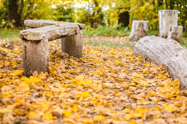 Bank aus alten Baumstämmen im Herbstpark Horizontales Foto