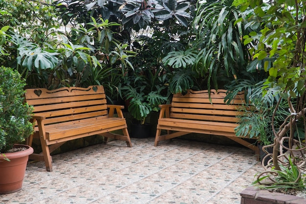 Bank im Botanischen Gewächshaus. tropische dekorative Orangerie