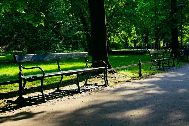 Bank im grünen Park