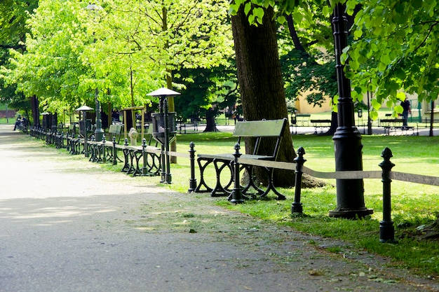 Bank im grünen Park