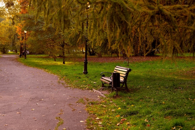 Bank im Herbst Park