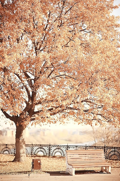 Bank im Herbst Parklandschaft / Saisonale Landschaft Ruhe im Herbst einsamer Park