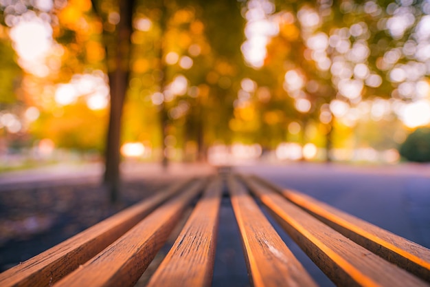 Bank im Herbstpark Herbstlandschaft verschwommen orange goldene Blätter träumen Bokeh Naturansicht