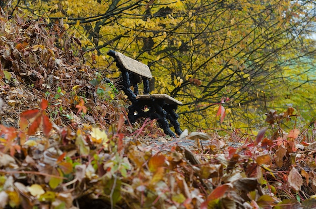 Bank im Herbstpark