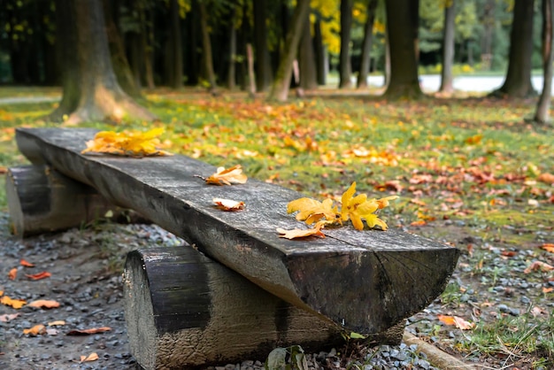 Bank im Park mit Herbstlaub bedeckt