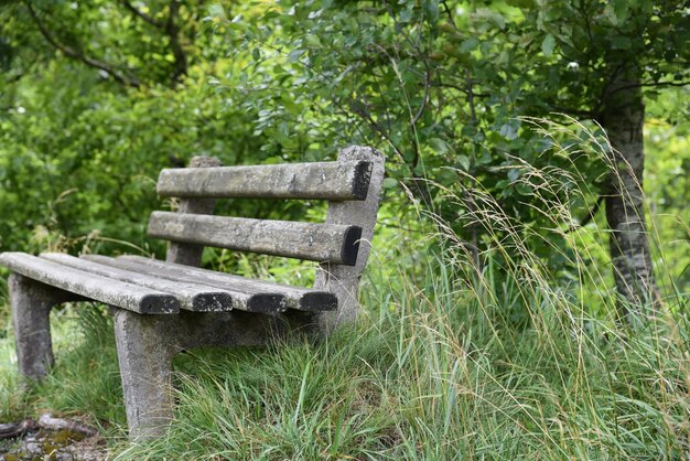 Foto bank im park