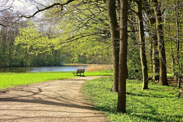 Foto bank im park