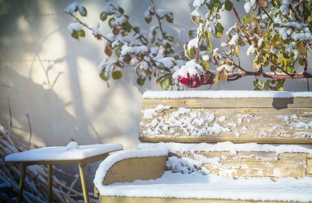 Bank mit einem Schneestaub im Wintergarten