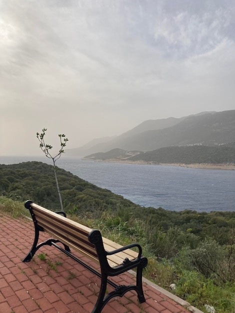 Bank und ein kleiner Baum mit schöner Aussicht auf das Meer und die Berge