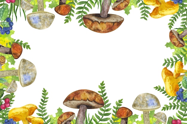 Banner botanische essbare Pilze Blätter und Beeren Farne Schnecke Gras Cranberry Bergasche Handzeichnung Aquarell-Illustration isoliert auf weißem Hintergrund Designelement