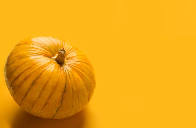 Banner de calabaza de otoño en fondo naranja. Copie el espacio.