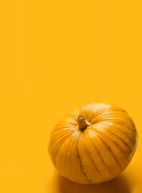 Banner de calabaza de otoño en fondo naranja. Copie el espacio.