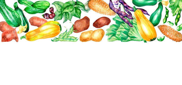 Banner de colorida ilustración acuarela de verduras en blanco