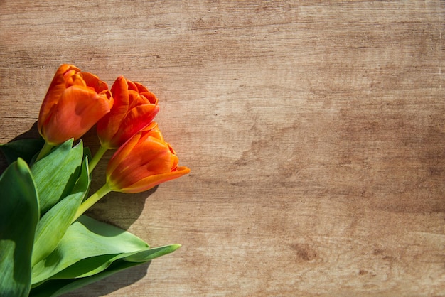 Banner com tulipas vermelhas sobre fundo de madeira marrom lugar de cartão postal para espaço de cópia de texto