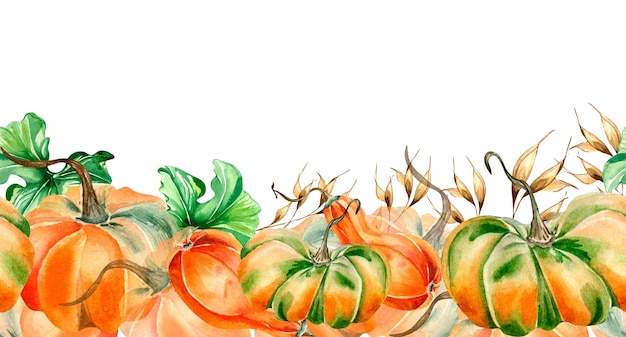 Banner sin costuras de ilustración acuarela de calabazas aislado en blanco