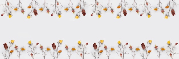 Banner creativo de otoño Ramas de árboles con coloridas hojas de otoño en pinzas para la ropa sobre fondo gris Vista superior Lay Flat