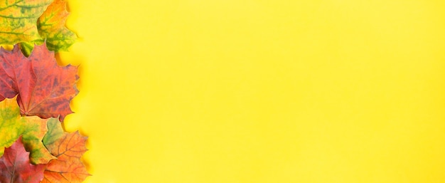 Banner de outono plano com folhas de bordo coloridas ao lado em fundo amarelo vermelho vivo roxo