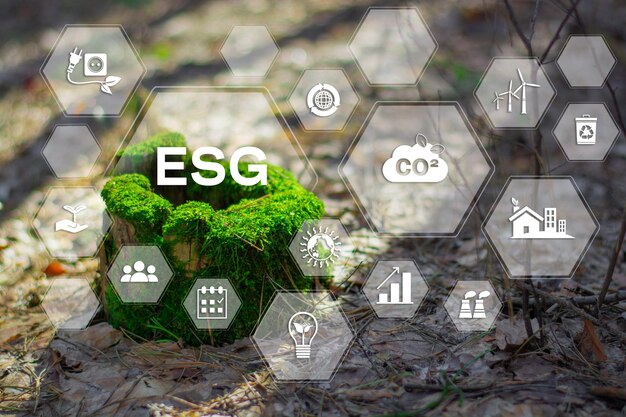 Banner ESG Umwelt, Sozial- und Unternehmensführung Banner Informationstechnologie