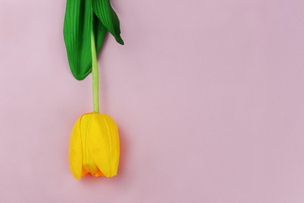 Banner de flores de tulipán para la fiesta de San Valentín