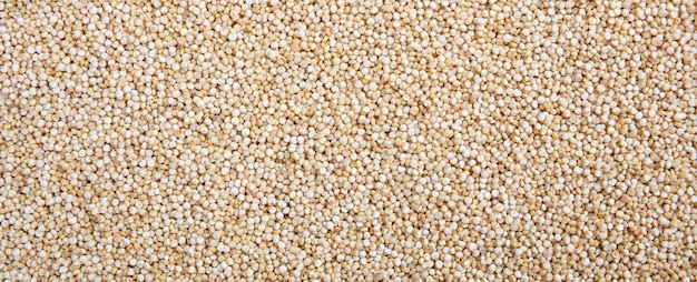Foto banner de fondo de fotograma completo de color blanco de semillas de quinua cruda