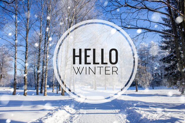 Banner hallo winter. das bild von hallo winter. neue season. natur. winterlandschaft. landschaft mit text.