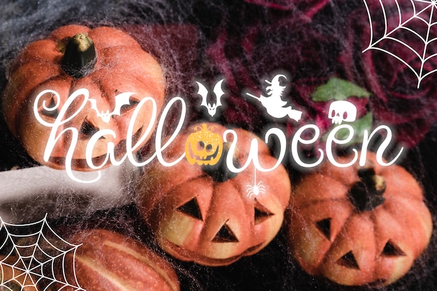 Foto banner de halloween con calabazas