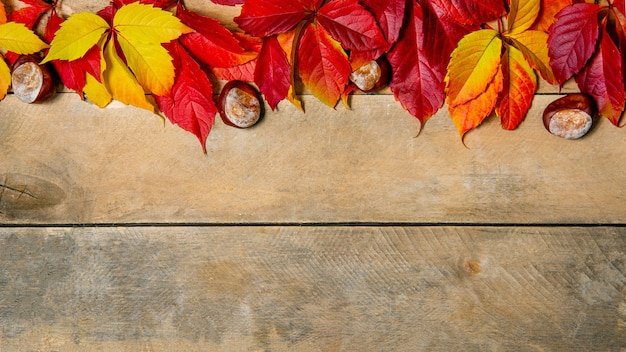 Banner. Helle gelb-rote Blätter des Herbstes auf einem hölzernen Hintergrund. Mit Kopierplatz. Draufsicht.