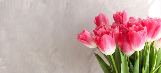 Foto banner con un hermoso ramo de tulipanes rosas cerrado contra una pared gris con espacio para copiar primavera