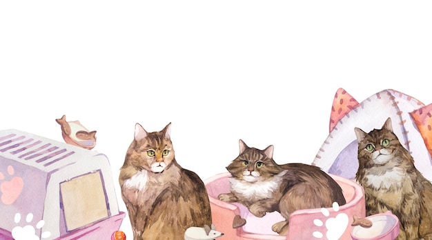 Foto banner con ilustraciones en acuarela de gatos