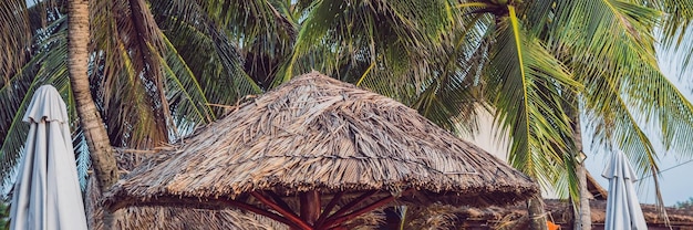 BANNER, Long Format Bela praia tropical com guarda-sol de palha e palmeiras. Guarda-chuva de palha e palmeira na praia