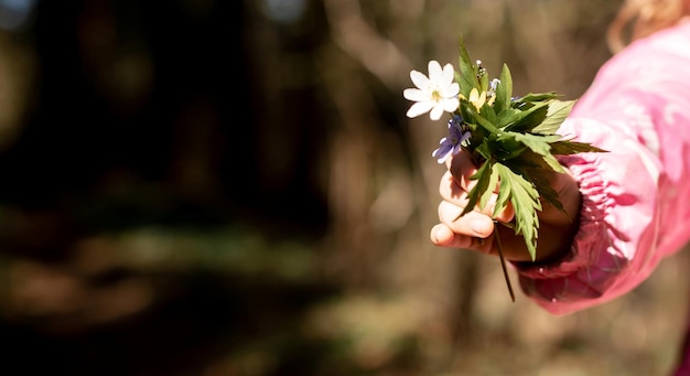 Banner con mano de niño sosteniendo flores de primavera Espacio de copia Concepto de ternura de armonía