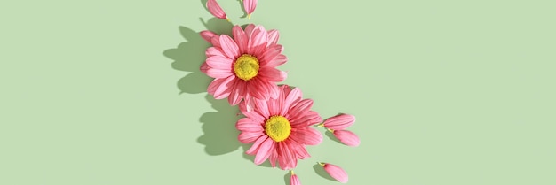 Banner mínimo de diseño natural con vista superior de flores rosadas con sombras oscuras, pétalos de mosca alrededor del verano