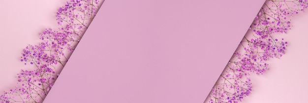 Banner mit hellen Blumen auf rosa lila Hintergrund. Ansicht von oben flach liegen Kopieren Sie Platz