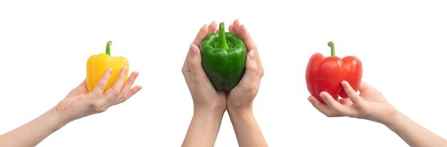 Banner mit Paprika in der Hand. Gelber, grüner und roter Paprika in der Frauenhand, Fahnendesignfoto