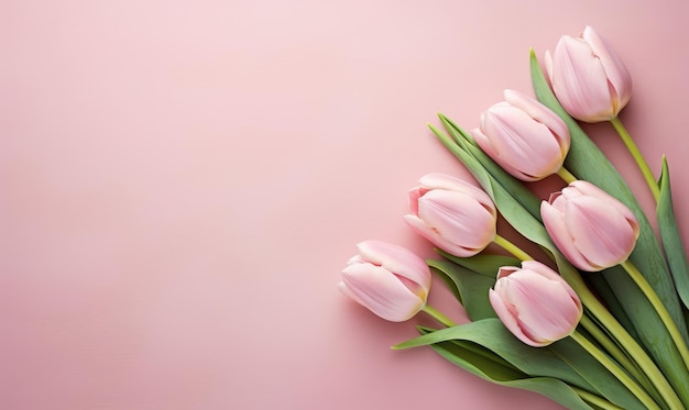 Banner mit Rahmen aus Rosenblumen und grünen Blättern auf rosa Hintergrund Frühlingskomposition