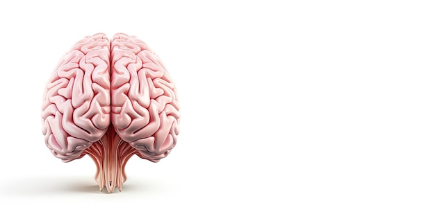 Banner mit rosafarbenem Gehirn auf weißem Hintergrund mit Kopierraum Brainstorming-Konzept Bannerkonzept für medizinische psychische Gesundheit