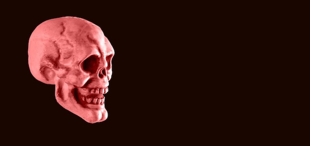 Banner mit schrecklichem rosa menschlichem Schädel auf schwarzem Hintergrund Halloween-Party-Horror-Anatomie-Studienkonzept Platz für Text